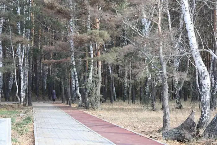 В Макинске завершается благоустройство городского парка (2)