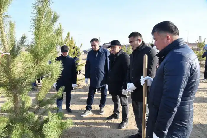 В Атырау в рамках осенней кампании по озеленению высажено около 4 тысяч молодых деревьев (3)
