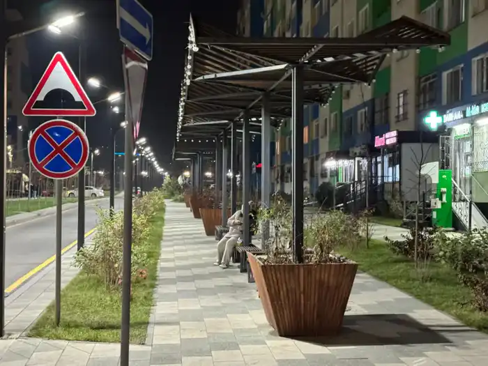 Наурызбайском районе Алматы реализуется 34 проекта по «Бюджету народного участия» (2)