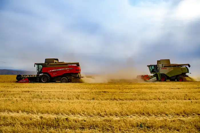 В Жетісу объем переработки производимой в регионе продукции достиг 68% (6)