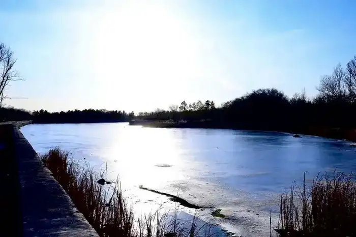 В Центральном парке Караганды посчитали деревья (5)