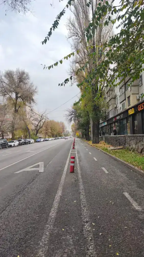В Алматы демонтируют болларды вдоль велополос для эффективной зимней уборки дорог (3)