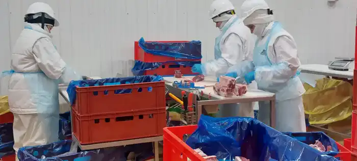 Еще 4 казахстанских предприятия включены в Реестр импортеров ОАЭ (5)