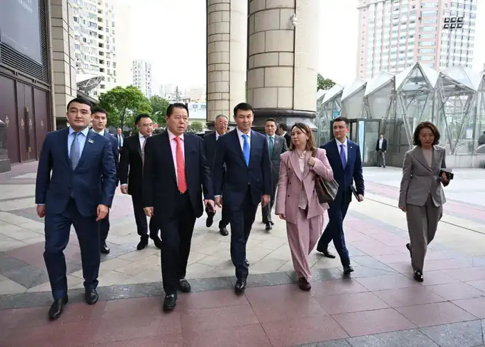 Дархан Сатыбалды обсудил перспективы сотрудничества с китайской корпорацией Yuexing Group (8)