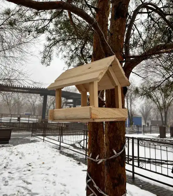 «Таза Қазақстан»: в парке Майкудука установили кормушки для птиц (3)