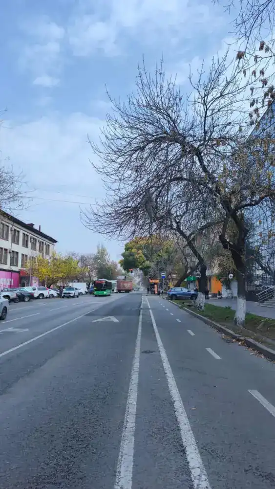 В Алматы демонтируют болларды вдоль велополос для эффективной зимней уборки дорог (2)