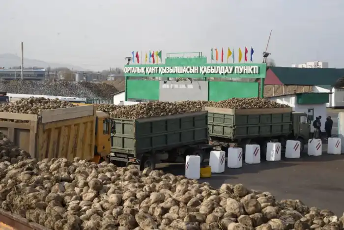 C начала года в Коксуском районе произведено сельхозпродукции на 30,5 млрд. тенге (5)