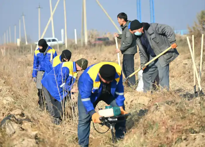 ТУРКЕСТАН: В СУББОТНИКЕ ПРИНЯЛО УЧАСТИЕ БОЛЕЕ 40 ТЫСЯЧ ЧЕЛОВЕК, ВЫВЕЗЕНО 186 ТОНН МУСОРА (2)