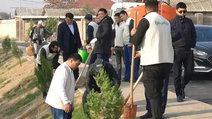 В КЕЛЕСЕ ПРОШЛА ОСЕННЯЯ АКЦИЯ ПО ПОСАДКЕ ДЕРЕВЬЕВ "ПОСАДИ БЕСПЛАТНЫЙ САЖЕНЕЦ" (2)