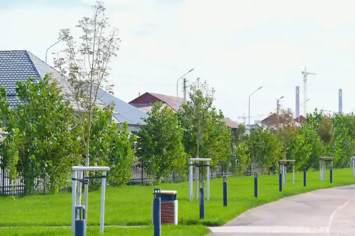 В ТУРКЕСТАНСКОЙ ОБЛАСТИ АКТИВНО ВЕДУТСЯ РАБОТЫ ПО ОСЕННЕЙ ПОСАДКЕ САЖЕНЦЕВ (3)