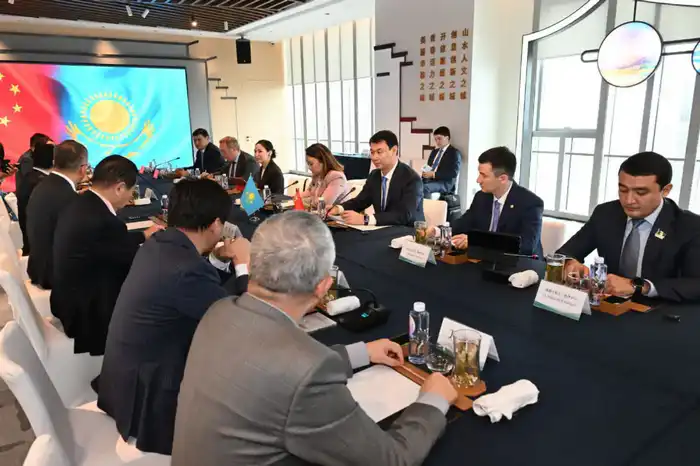 Дархан Сатыбалды обсудил перспективы сотрудничества с китайской корпорацией Yuexing Group (4)