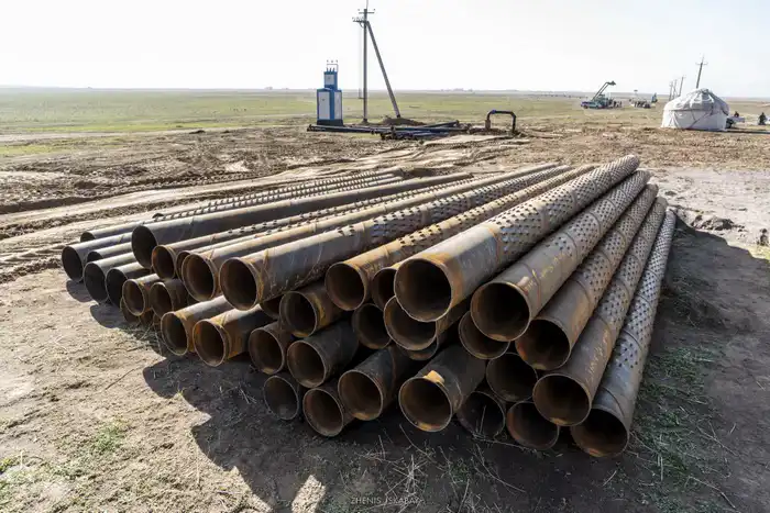 Аграрии Жетісу реализуют проект по выращиванию кормов, используя влагосберегающие технологии (5)