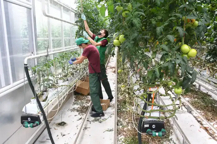 Ауэзовский район Алматы демонстрирует уверенный рост экономики (2)