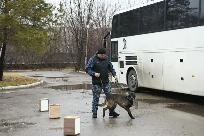 «Esirtkisiz Elorda»: в Астане студентов обучили тонкостям кинологической службы (4)