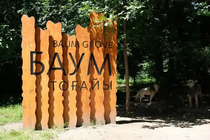 В Алматы продолжается комплексная работа по сохранению и восстановлению Рощи Баума (4)