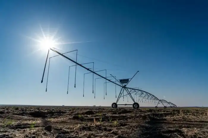 Проект по внедрению системы дождевого орошения реализуется в Жетісу (6)