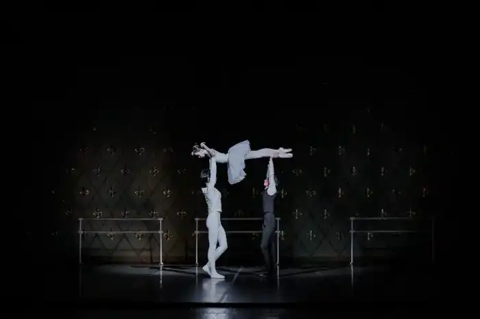 Премьеру «О чем молчит балет» представил академический театр танца (3)