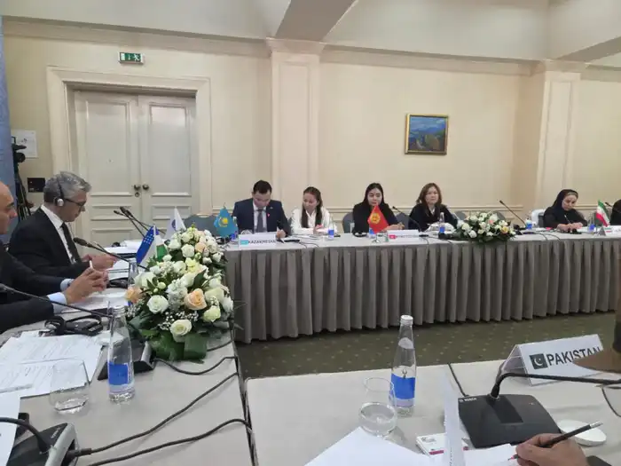 В Ташкенте состоялось первое заседание Консультативного комитета ОЭС (3)