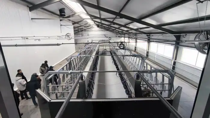 В Костанайской области запустили молочно-товарную ферму на 1200 голов (2)