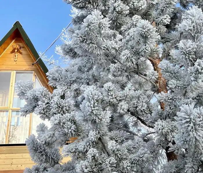 Дача Ирины Фишбух зимой. Фото из личного архива героини