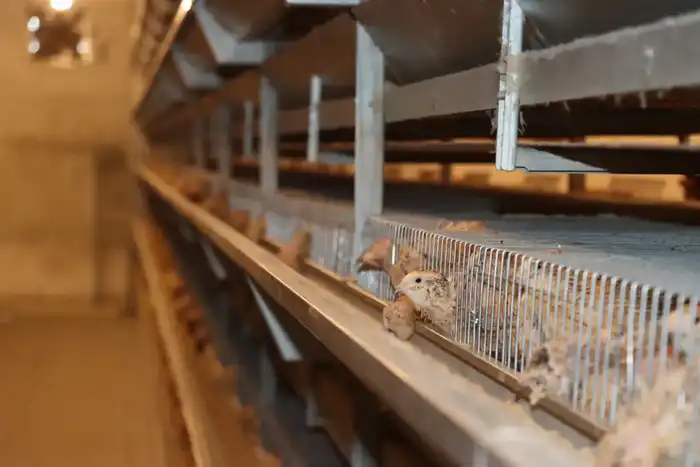 Советник главы Правительства посетил село Бесарык (2)