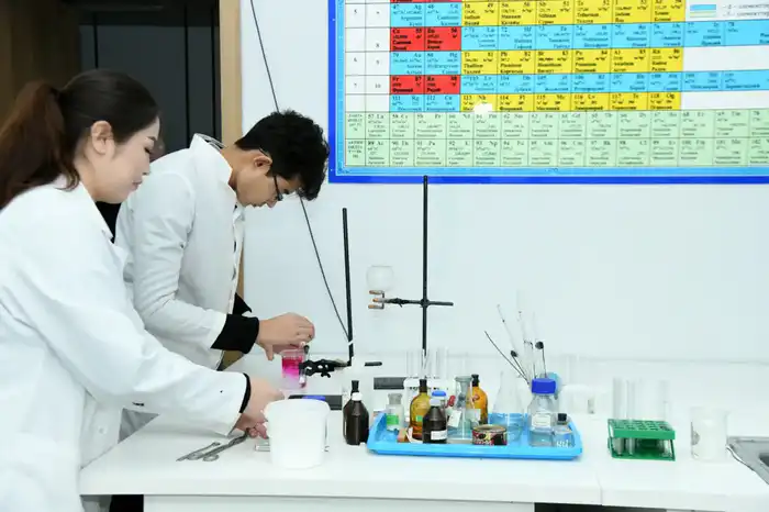 СОСТОЯЛАСЬ ВСТРЕЧА С ПРЕДСТАВИТЕЛЯМИ ОБРАЗОВАТЕЛЬНОГО ЦЕНТРА «СИРИУС» (6)