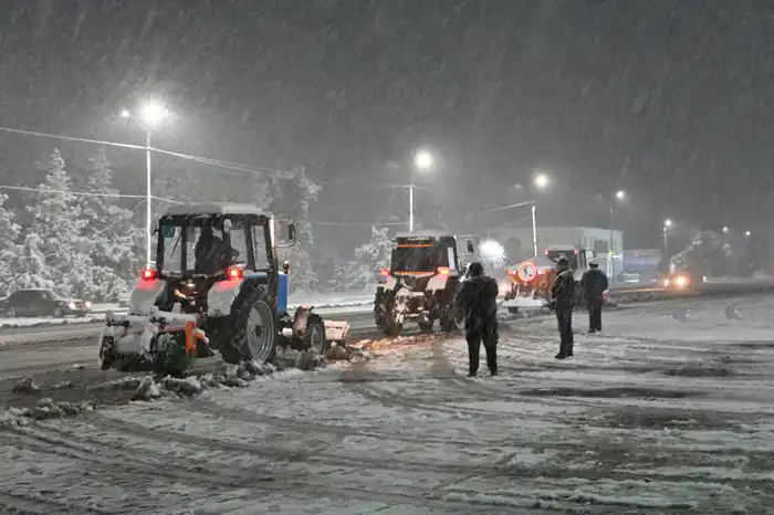 Официальная информация (3)