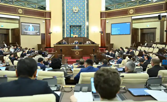 Мажилис ратифицировал соглашение с Фондом международного развития OPEC (2)