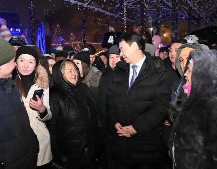 В Алматы зажгли главную новогоднюю ёлку (8)