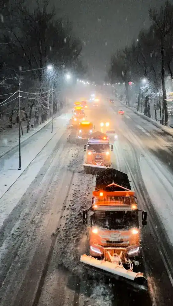 В Алматы коммунальные службы перешли на усиленный режим работы из-за снегопада (2)