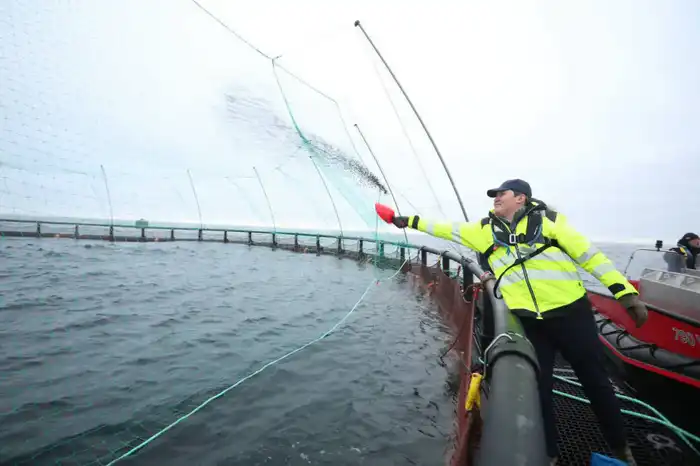 В Мангистауской области реализуется первый в Центральной Азии морской аквакультурный проект (2)