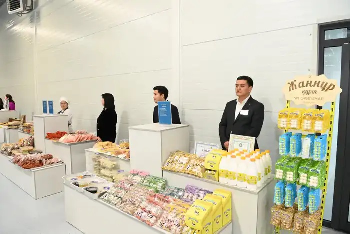 Заместитель Премьер-министра ознакомился с работой малой промышленной зоны «Тумар» (10)