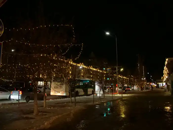 Сквер на месте пустыря и десятки тысяч новых деревьев появились в столичном районе Байконыр в 2025 году (4)