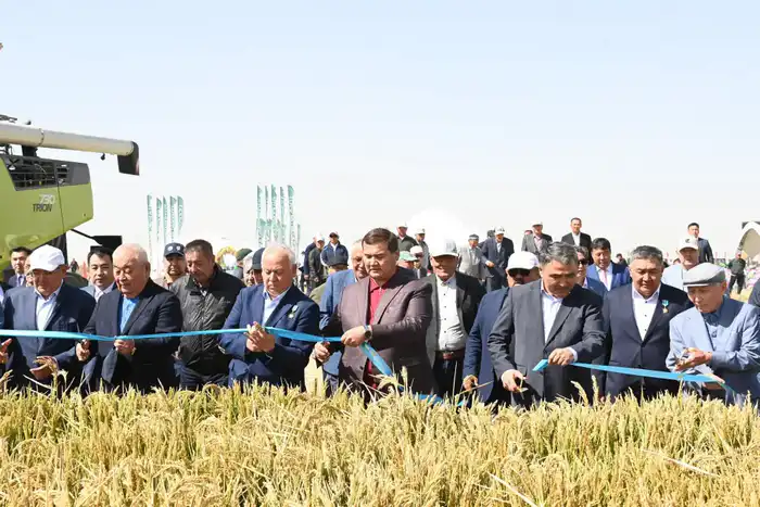 Посевные площади в Кызылординской области диверсифицируются (4)