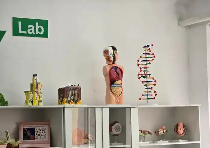 В Темиртау открыли 30 современных спортивных площадок для школьников (9)