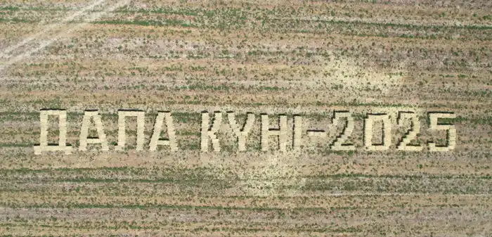 Посевные площади в Кызылординской области диверсифицируются (6)