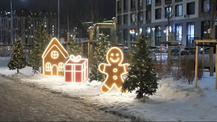 Горки, катки и новогодние елки: где в Астане расположены главные зимние локации (6)