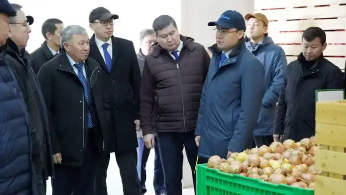 В ТУРКЕСТАНЕ ПРОШЛО СОВЕЩАНИЕ ПО РАСШИРЕНИЮ МАСШТАБОВ КРУПНЫХ ПРОЕКТОВ В СФЕРЕ ГЛУБОКОЙ ПЕРЕРАБОТКИ СЕЛЬХОЗПРОДУКЦИИ (3)