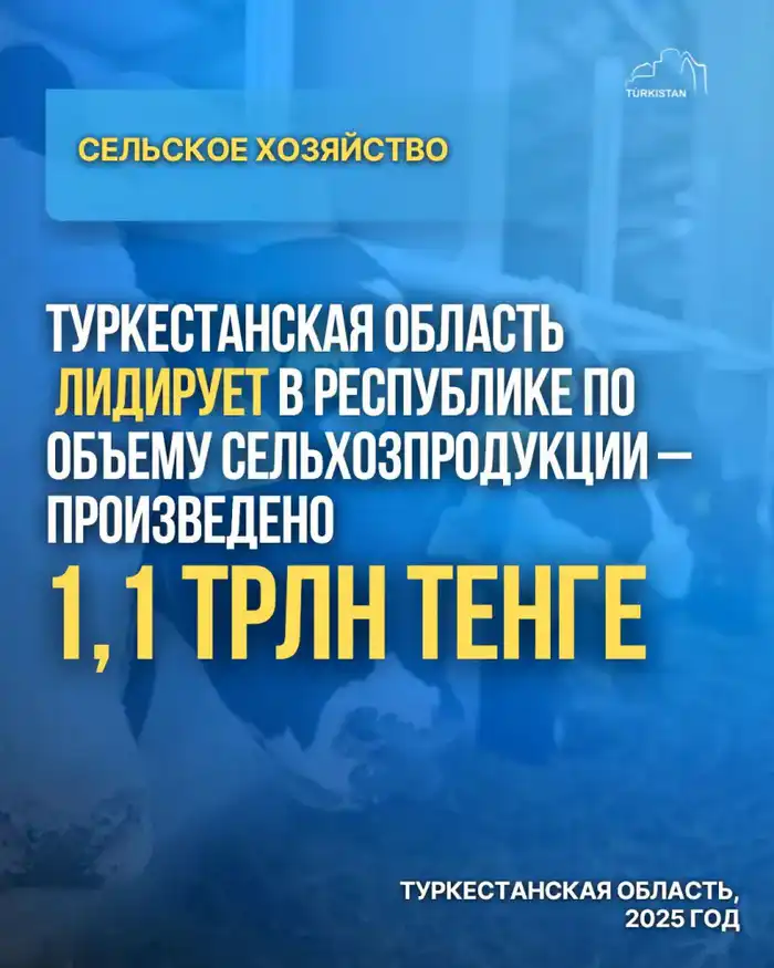 ТУРКЕСТАНСКАЯ ОБЛАСТЬ ЛИДИРУЕТ В РЕСПУБЛИКЕ ПО ОБЪЕМУ СЕЛЬХОЗПРОДУКЦИИ - ПРОИЗВЕДЕНО 1,1 ТРЛН ТЕНГЕ (4)