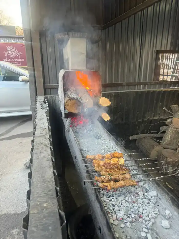 В Жетысуском районе Алматы пресекли незаконную работу «коптящихся» шашлычных (2)