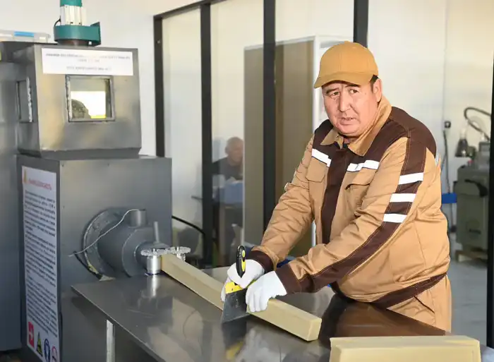 Советник главы Правительства посетил село Бесарык (10)