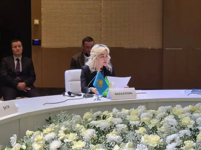В. Шегай представила инициативы Казахстана на первой встрече министров труда Организации тюркских государств (3)
