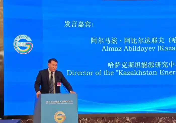 В Шанхае обсудили сотрудничество Казахстана со странами Глобального Юга (4)