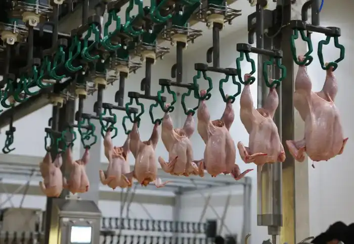 Жамбылская область входит в топ-3 по промышленному росту: произведено продукции на 1,1 трлн тенге (5)