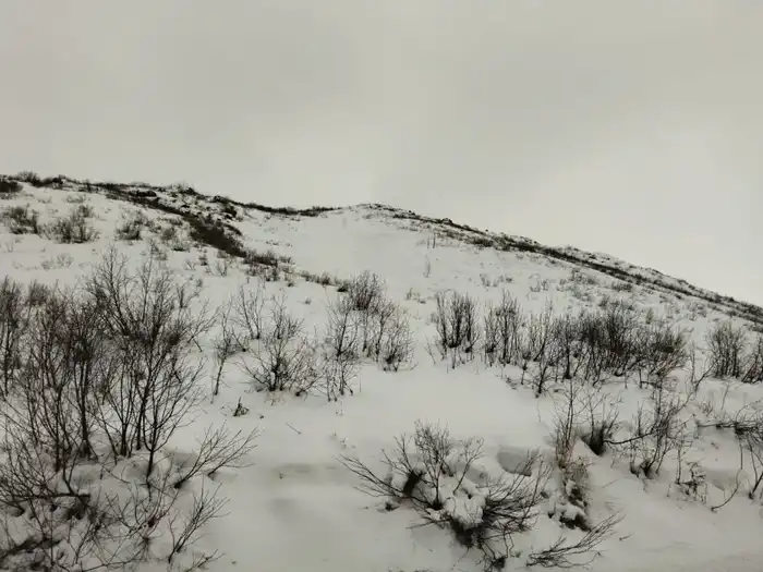 В ВКО проводится мониторинг за лавинной обстановкой (4)