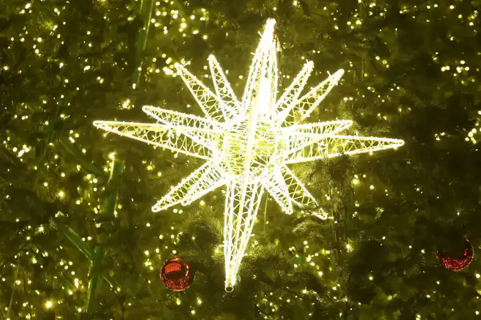 Туристы из Дубая отмечают доброжелательность казахстанцев на новогоднем шоу Алматы (7)