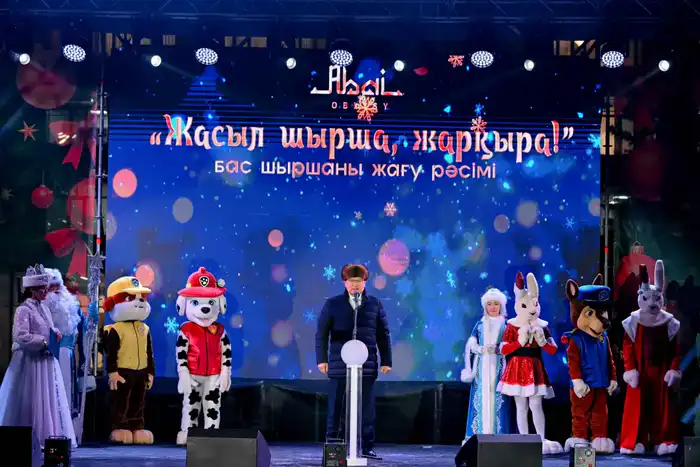 В Семее зажгли огни новогодней елки (2)