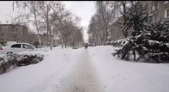 Аким ВКО проверил очистку улиц Усть-Каменогорска от снега и работу транспорта (2)