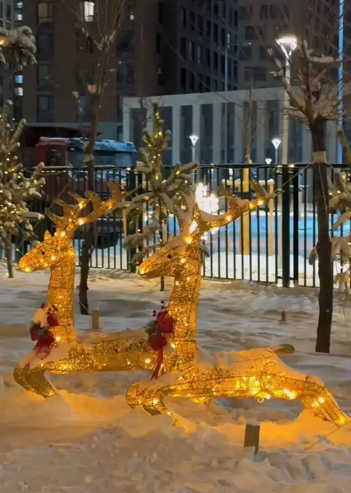 Горки, катки и новогодние елки: где в Астане расположены главные зимние локации (5)