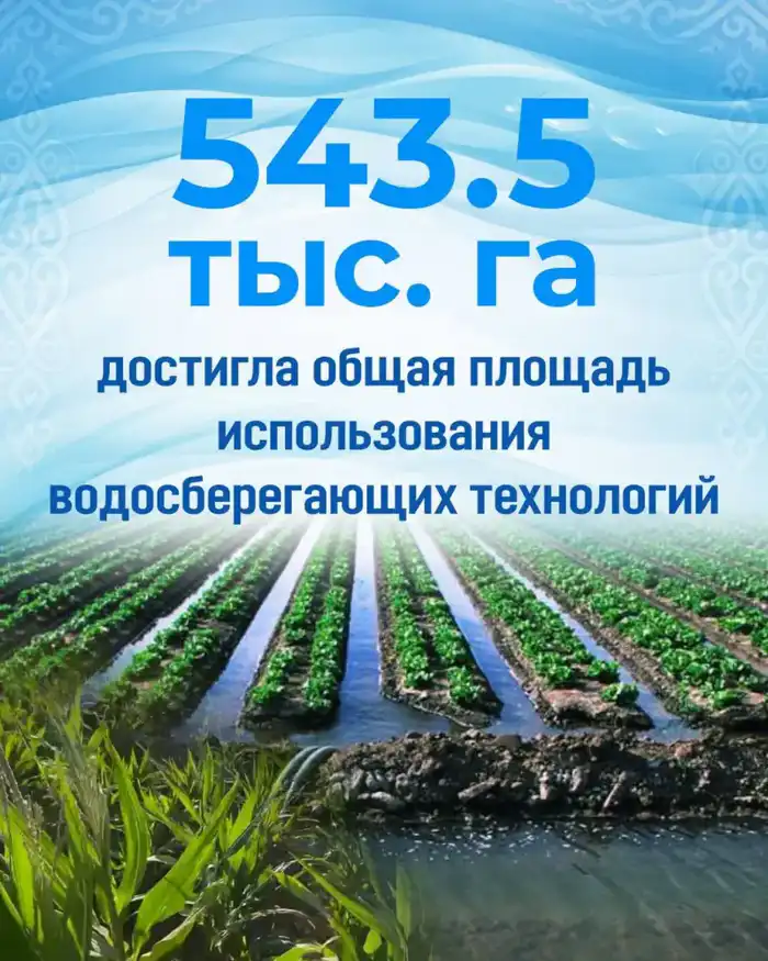 Уходящий 2025 год стал очень важным для развития водохозяйственной отрасли Казахстана. Итоги прошедших 12 месяцев подводим в 10-ти главных цифрах (3)